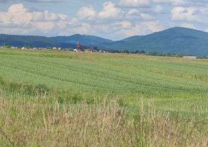 działka na sprzedaż - Lipowa, Sienna