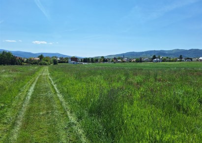 parcel for sale - Lipowa, Sienna, Jodłowa