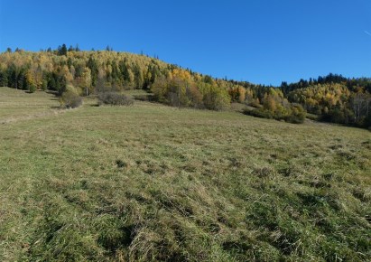 działka na sprzedaż - Ujsoły, Nad Potokiem